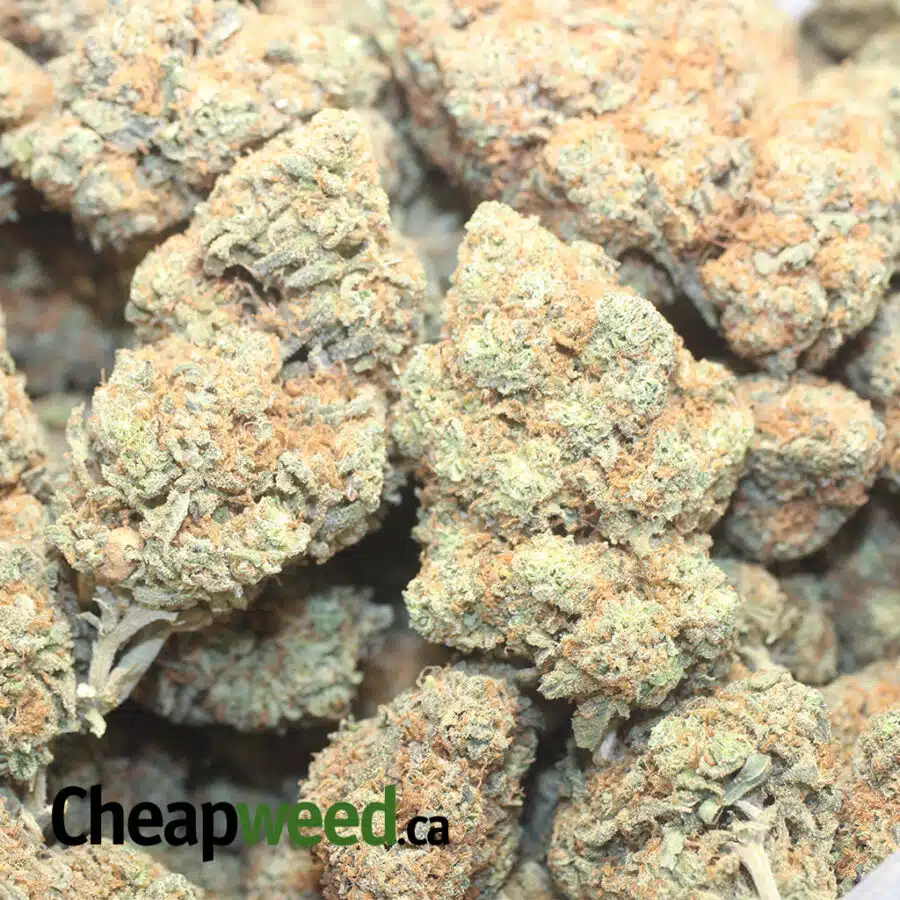 COCOA PUFFS 3 I $ 65 - Coco Kush