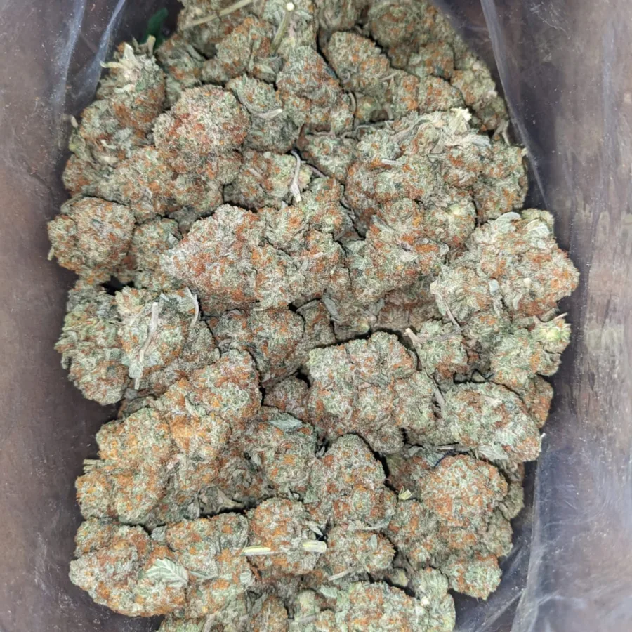 Columbian Gold