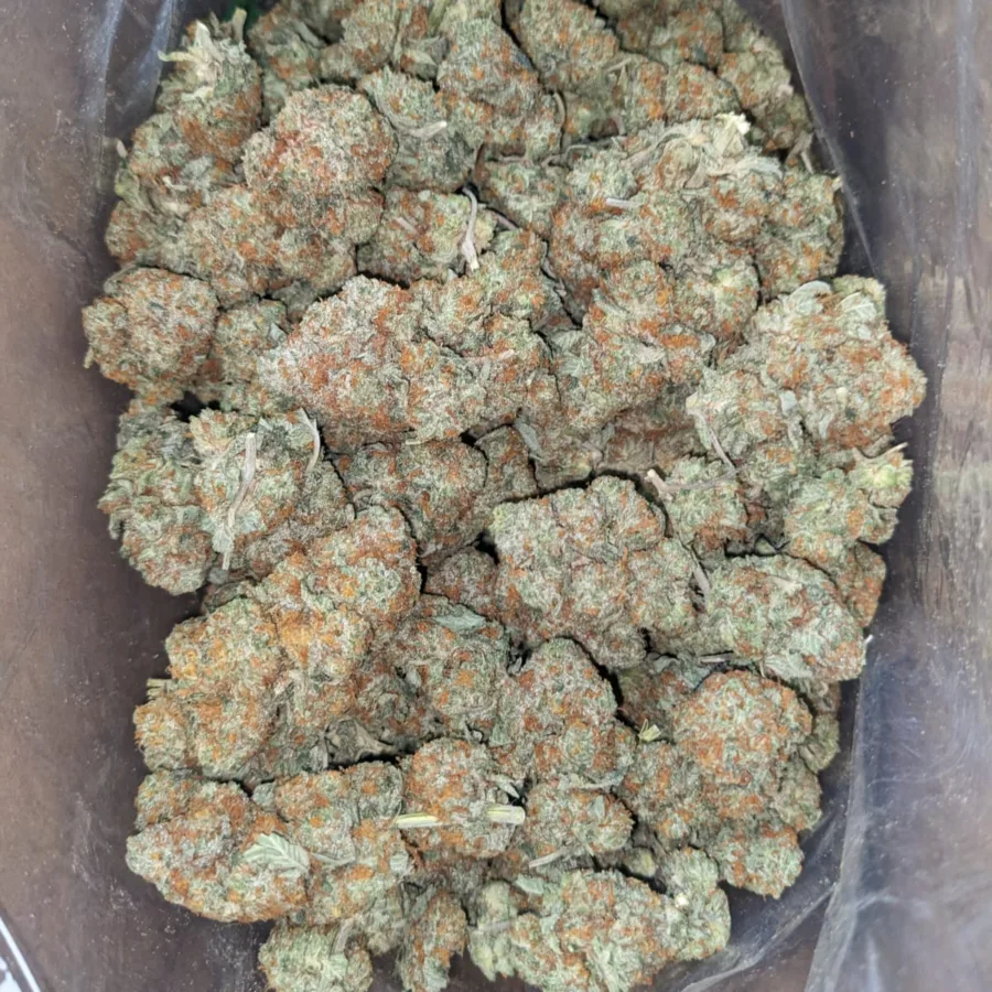 Alternative view of Columbian Gold