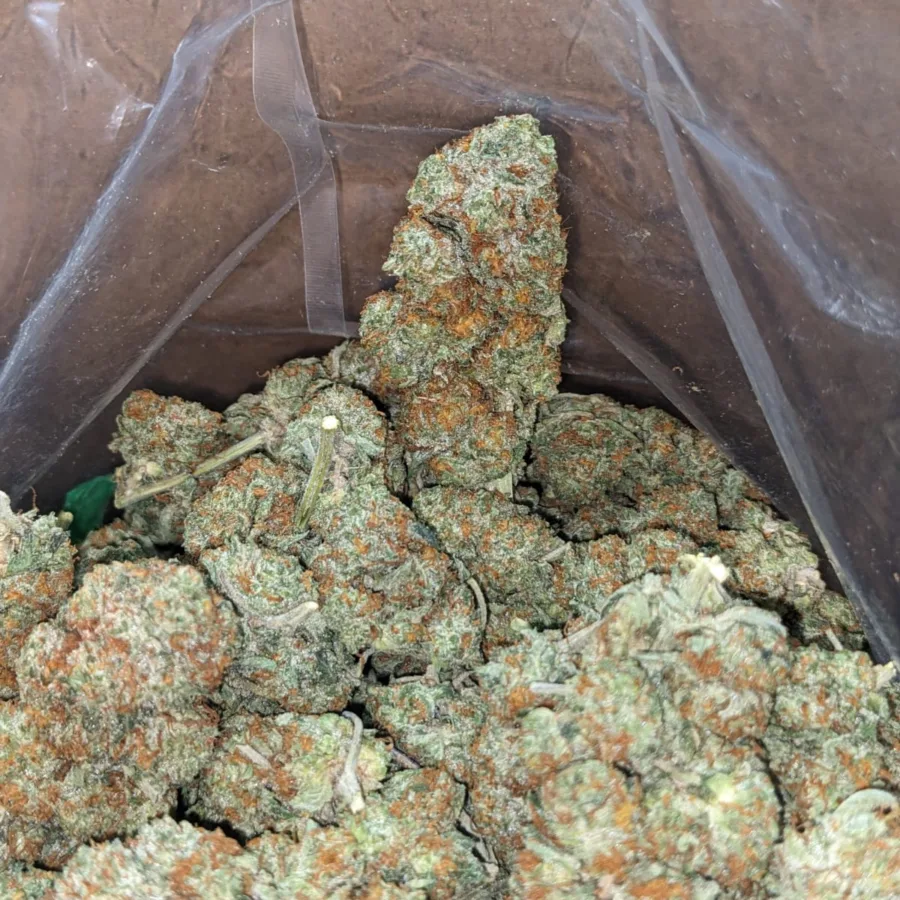 Columbian Gold - Image 5