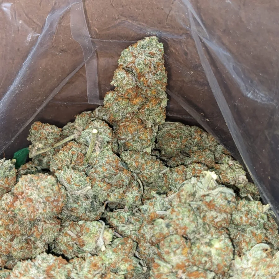 Columbian Gold - Image 4