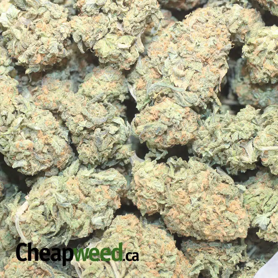 EMMA NUKEN 1 I $ 58 Oz - Nuken