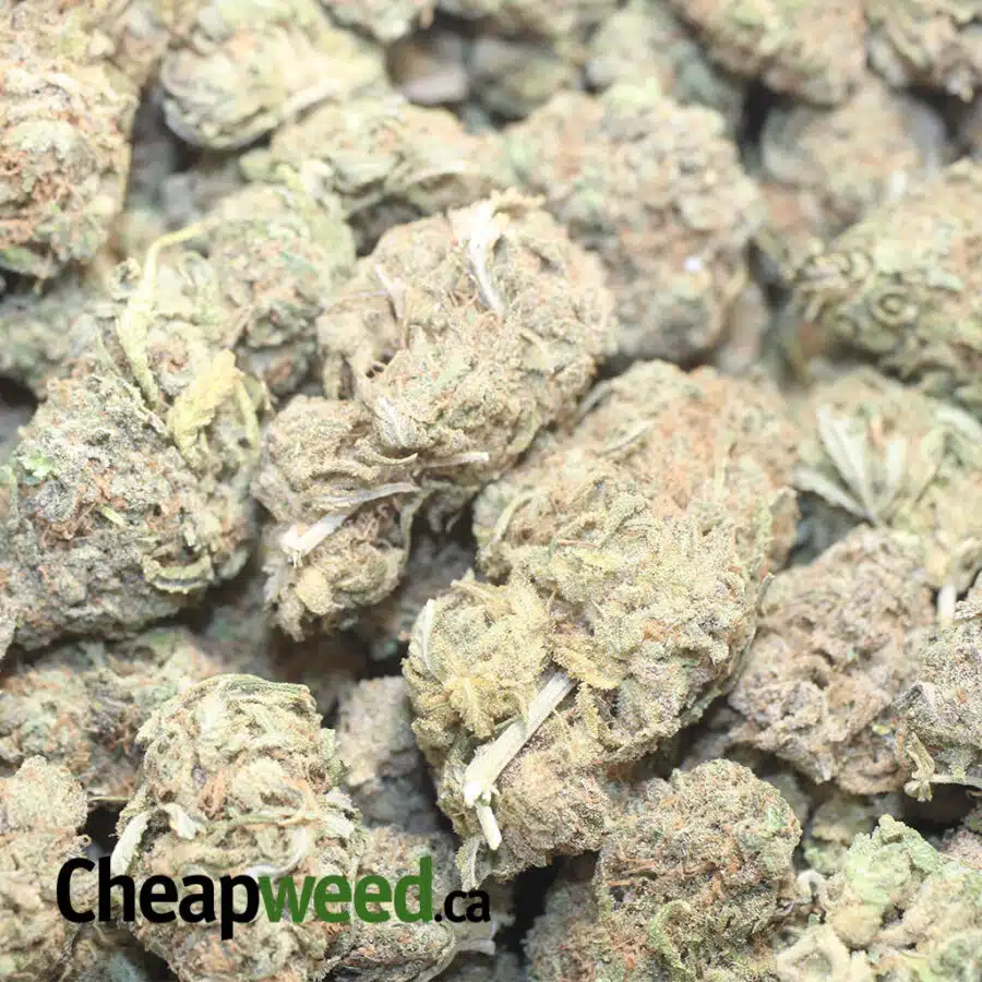 IMH 3 I Island Maui Haze
