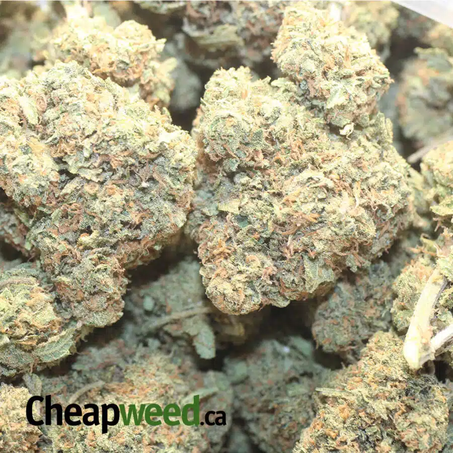 LA KUSH CAKE 1 I LA Cake Breath