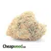 Orange Bud - *Deal Of The Day*