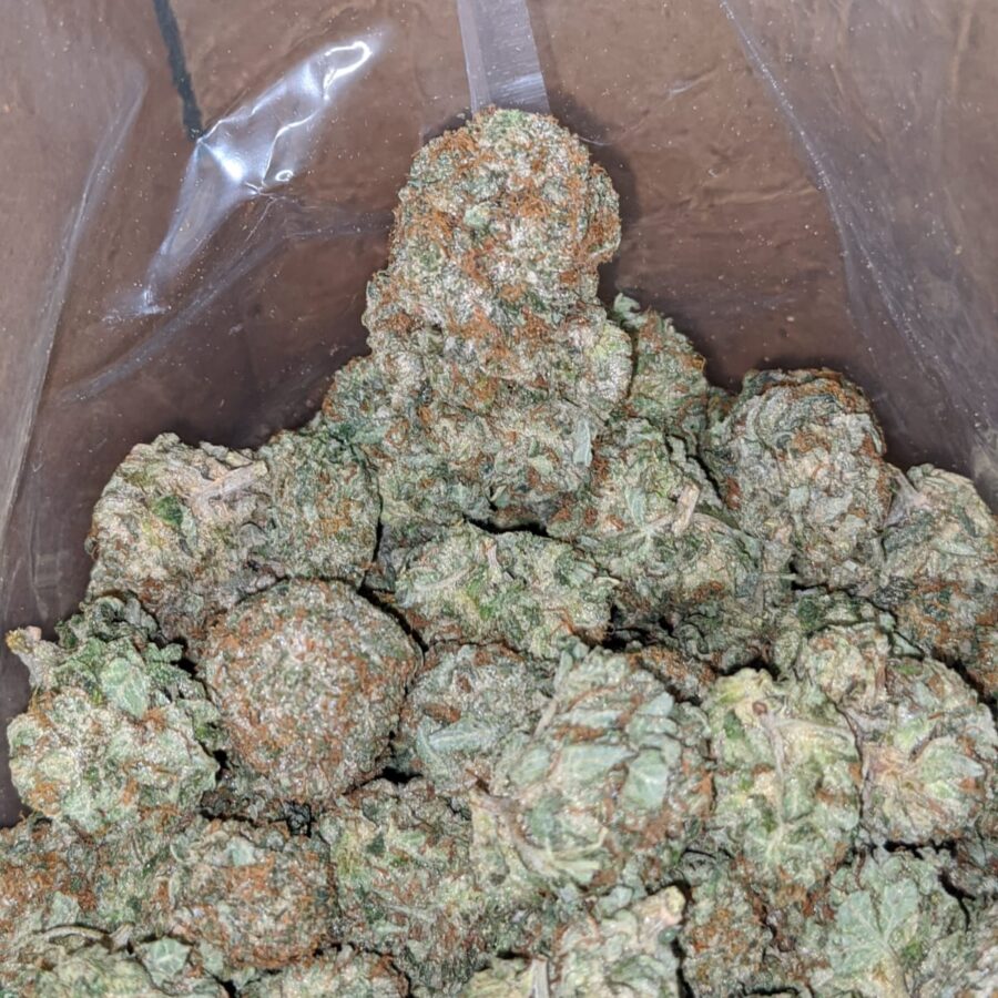 OG KUSH 3 I OG Kush