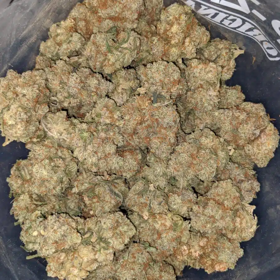 PLATINUM COOKIES 2 I Platinum Cookies