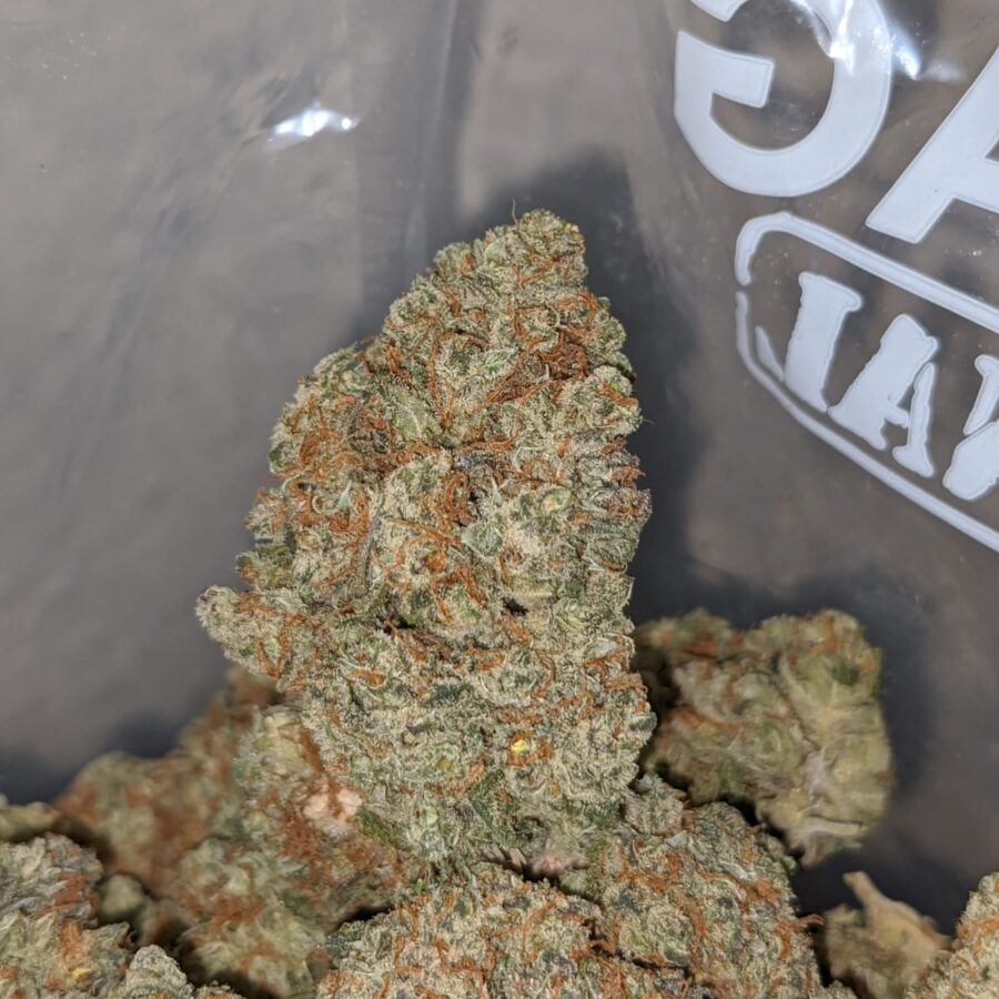 PLATINUM COOKIES 3 I Platinum Cookies