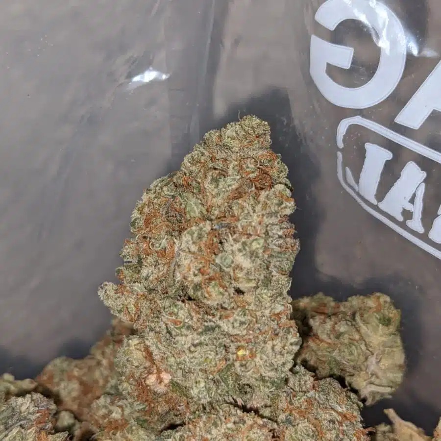 PLATINUM COOKIES 4 I Platinum Cookies