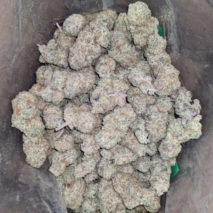 Strawberry Amnesia 1 I Strawberry Amnesia