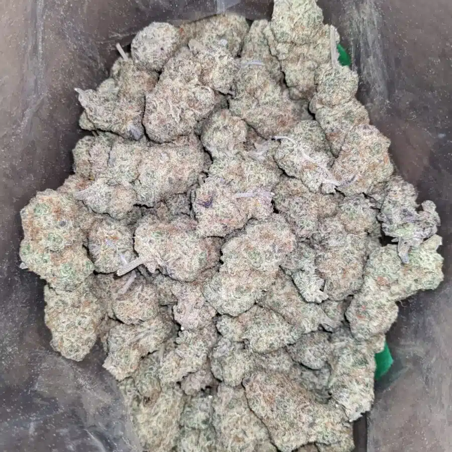 Strawberry Amnesia 2 I Strawberry Amnesia