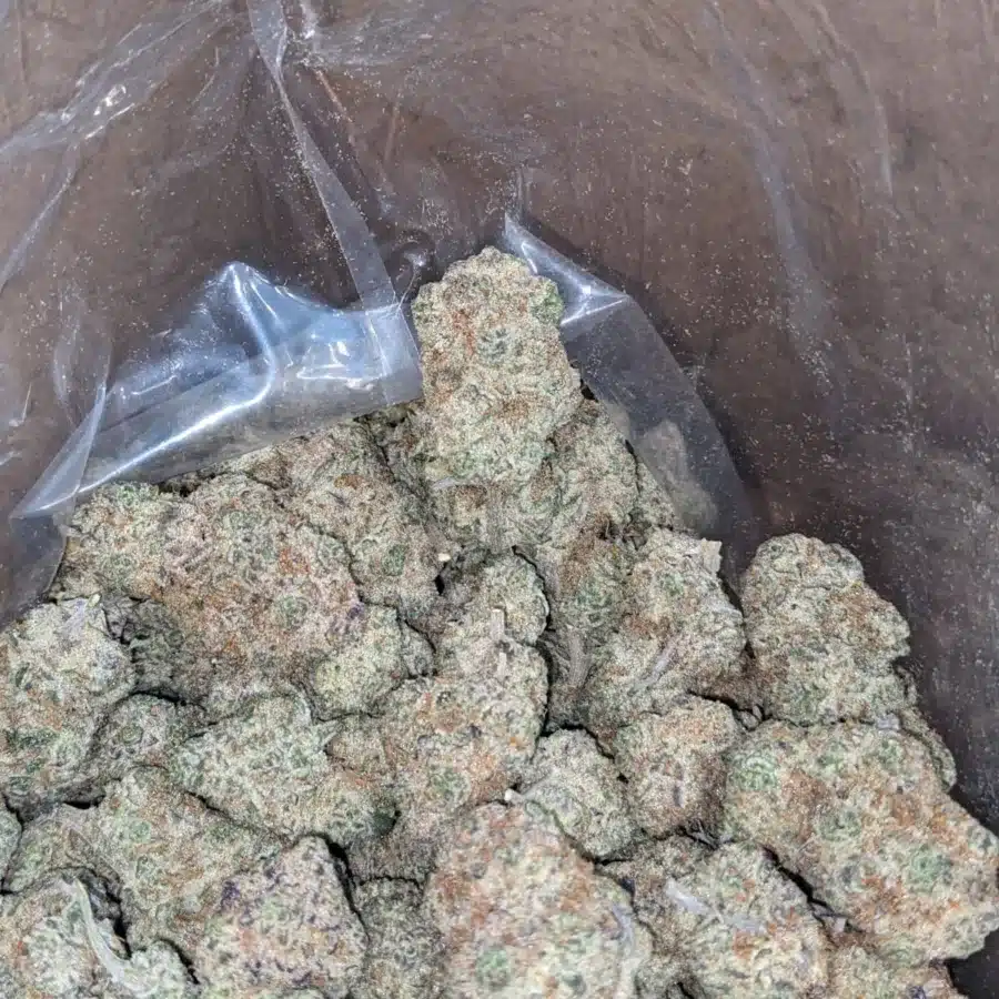 Strawberry Amnesia 3 I Strawberry Amnesia