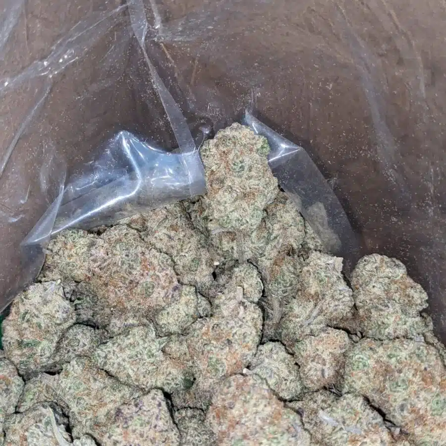 Strawberry Amnesia 4 I Strawberry Amnesia