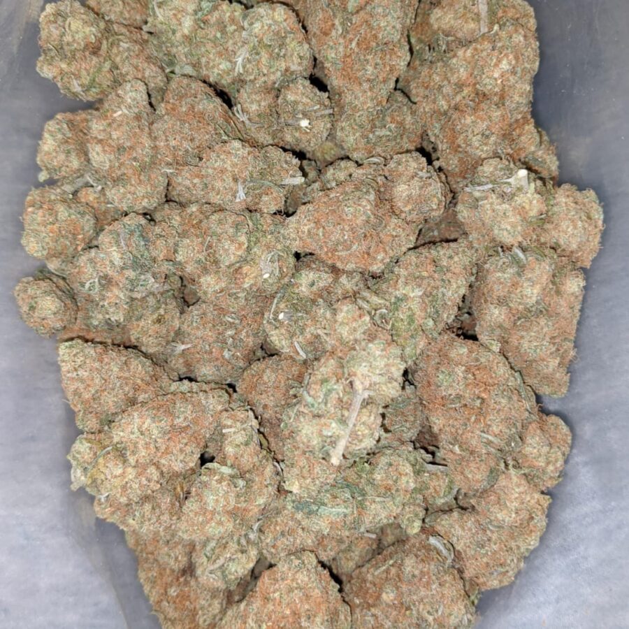 chocolate haze deal of the day smalls 1 I Chocolate Haze - *Deal Of The Day*