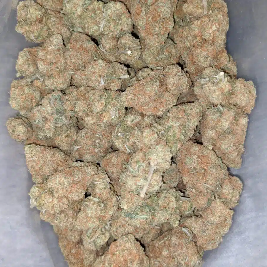 chocolate haze deal of the day smalls 1 I Chocolate Haze - *Deal Of The Day*
