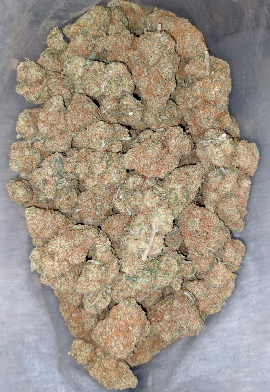 Chocolate Haze - *Deal Of The Day* - Image 6