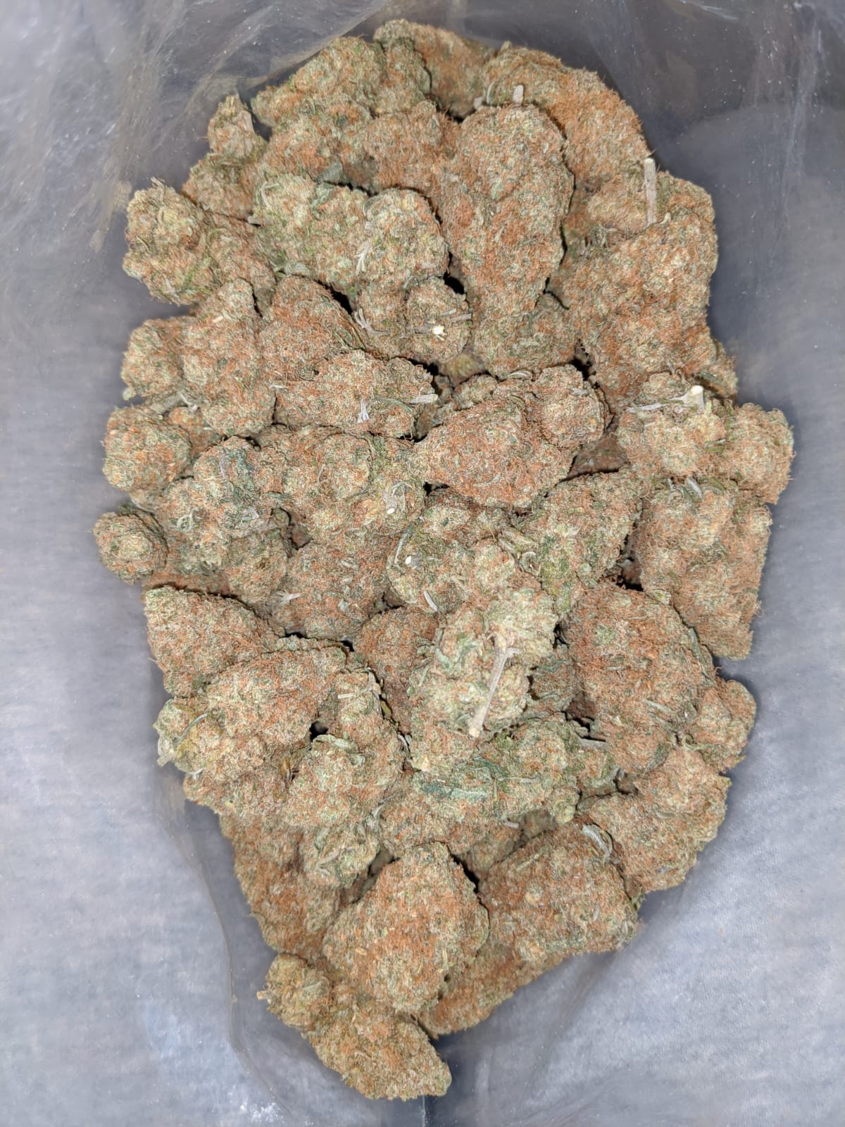 Chocolate Haze - *Deal Of The Day* - Image 5