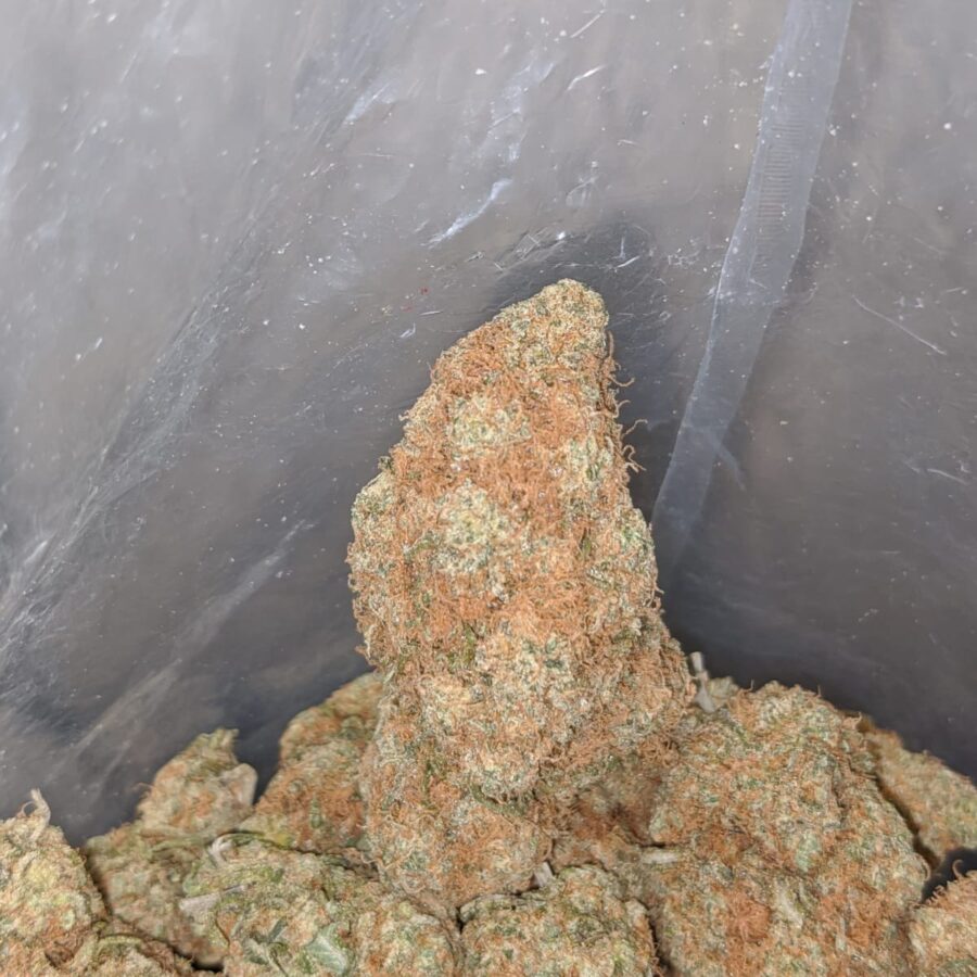 chocolate haze deal of the day smalls 4 I Chocolate Haze - *Deal Of The Day*