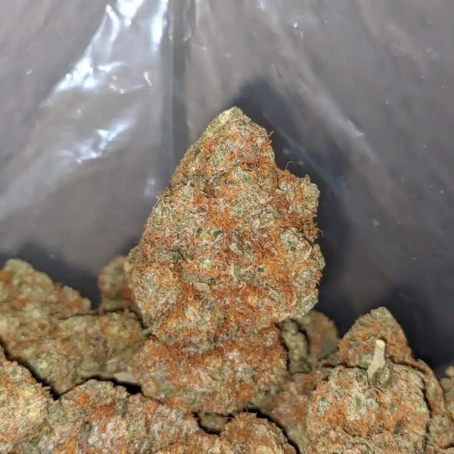 cocoa puffs 3 I $ 65 - Coco Kush