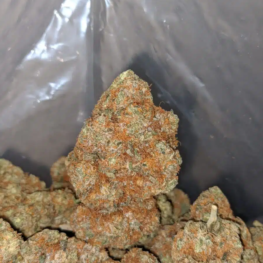 cocoa puffs 4 I $ 65 - Coco Kush