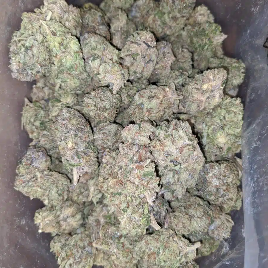 dank star 1 I $54 Oz - Dank Star
