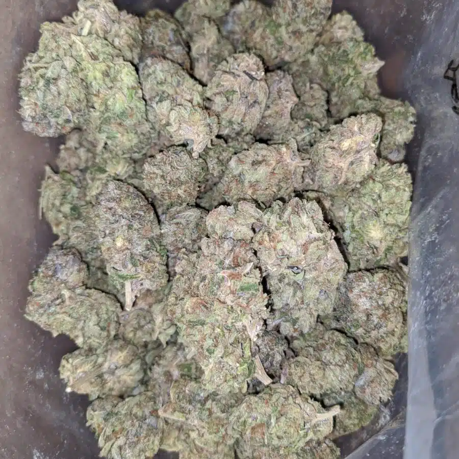 dank star 2 I $54 Oz - Dank Star