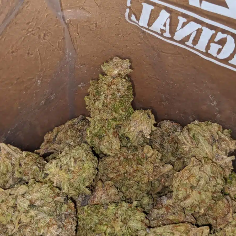 dank star 4 I $54 Oz - Dank Star