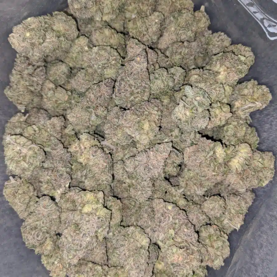 grape runtz 1 I Grape Runtz