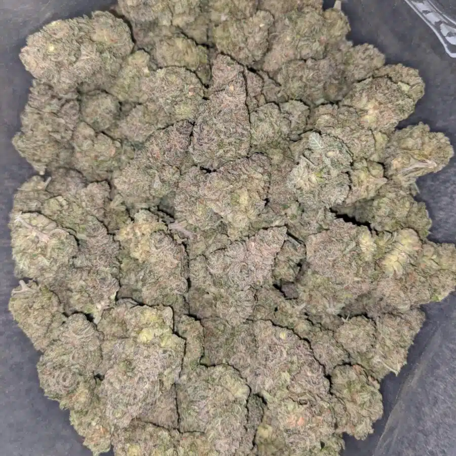 grape runtz 2 I Grape Runtz