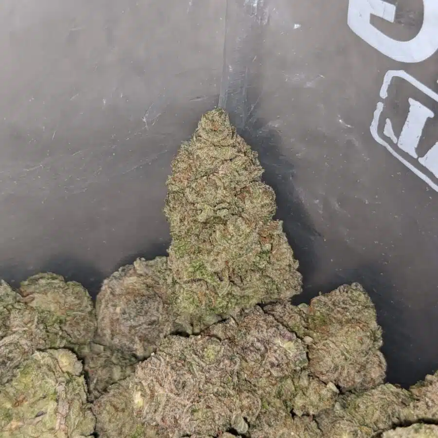 grape runtz 4 I Grape Runtz