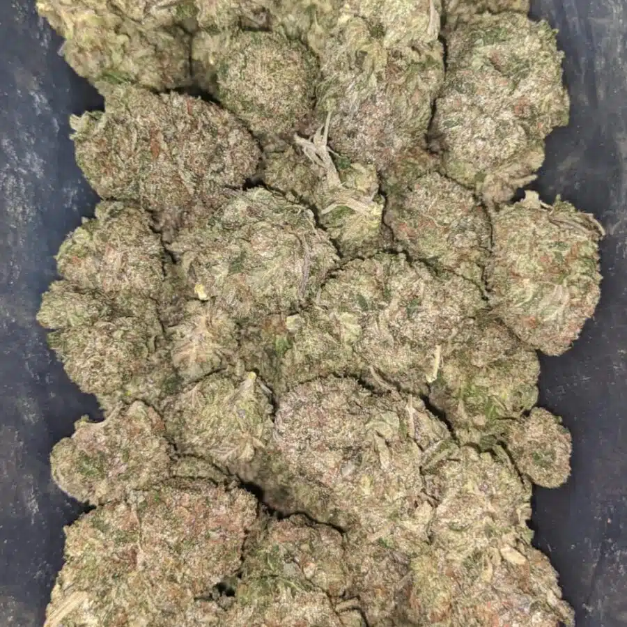 greenfarm bruce banner 1 1 I Greenfarm's Bruce Banner