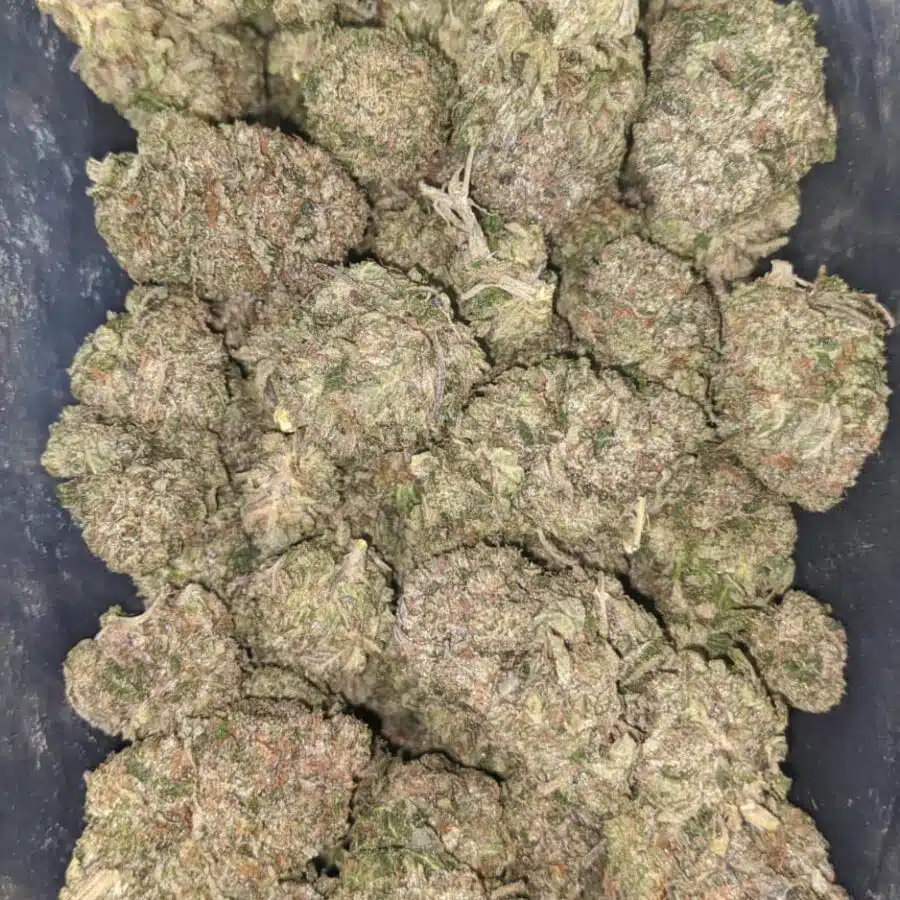 greenfarm bruce banner 2 1 I Greenfarm's Bruce Banner
