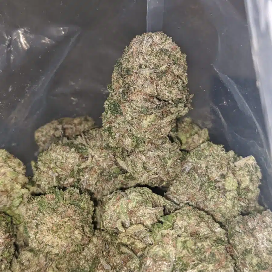 greenfarm bruce banner 3 1 I Greenfarm's Bruce Banner
