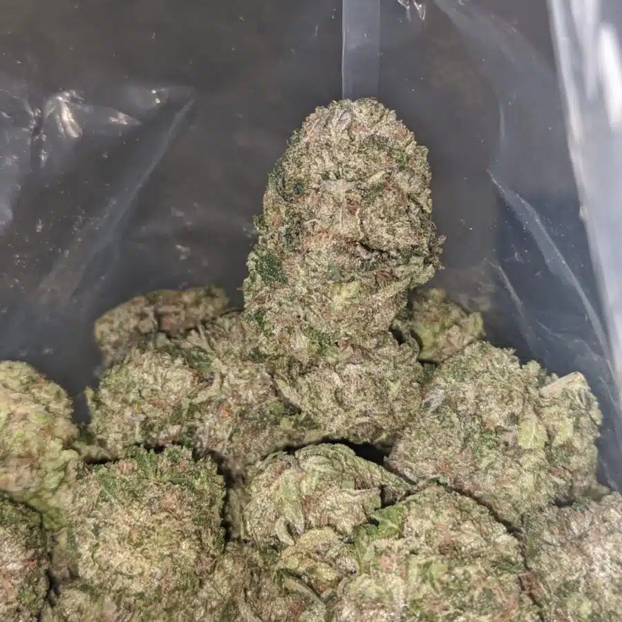 greenfarm bruce banner 4 1 I Greenfarm's Bruce Banner