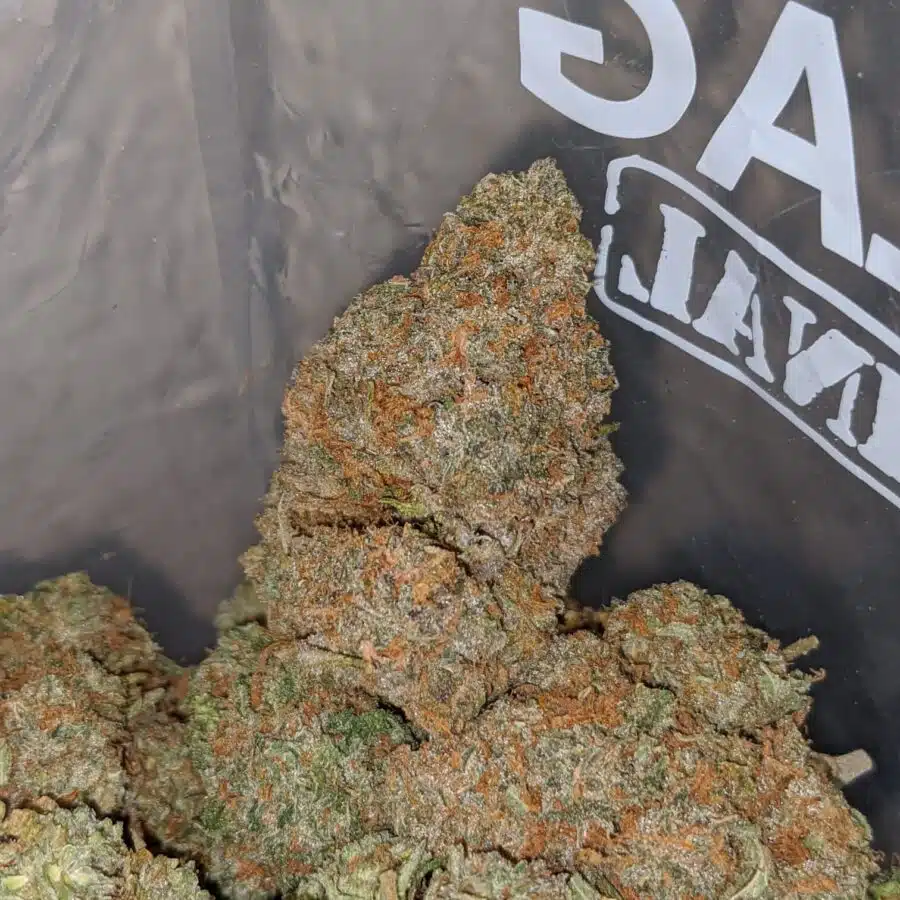jelly bean 3 1 I $63 Oz - Jelly Bean