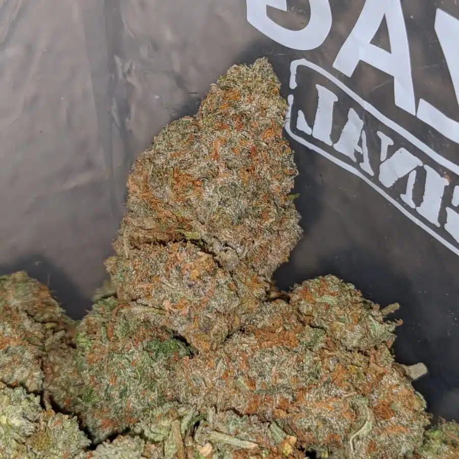 jelly bean 4 1 I $63 Oz - Jelly Bean