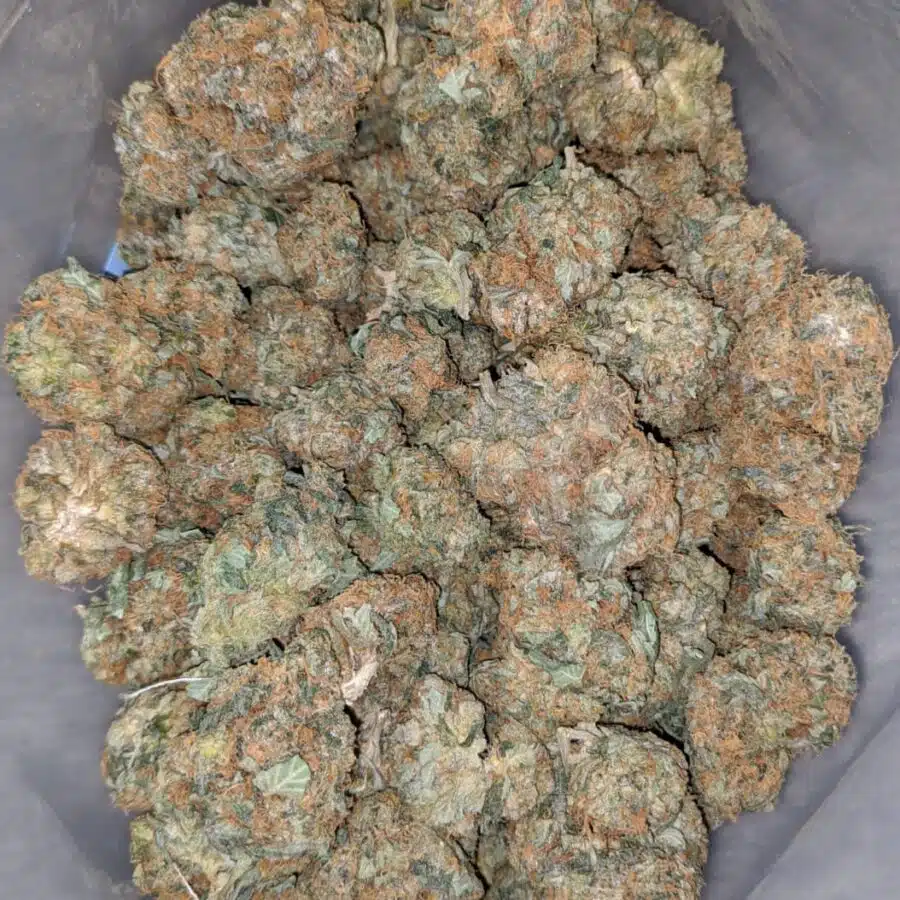 king bubba kush 1 I $ 57 Oz - King Bubba Kush