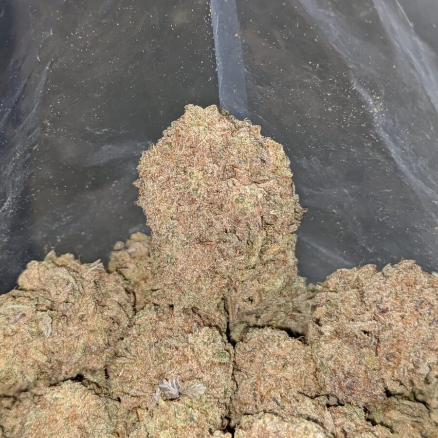 kushberry 1 I Kushberry