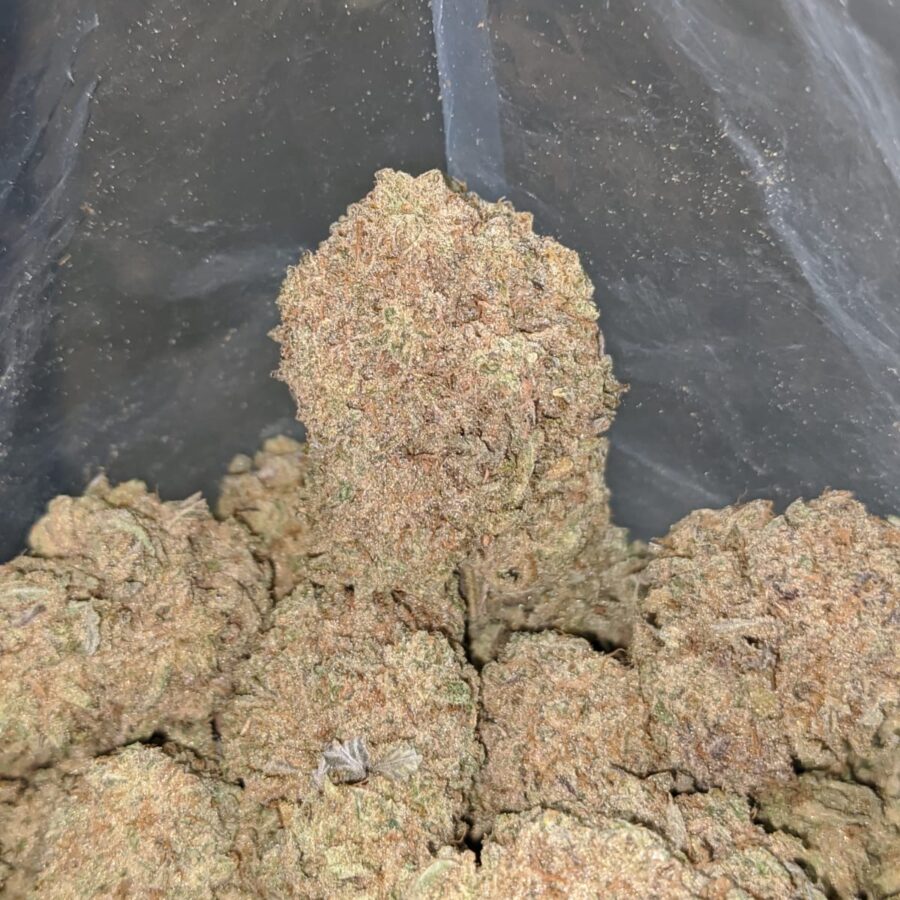 kushberry 2 I Kushberry