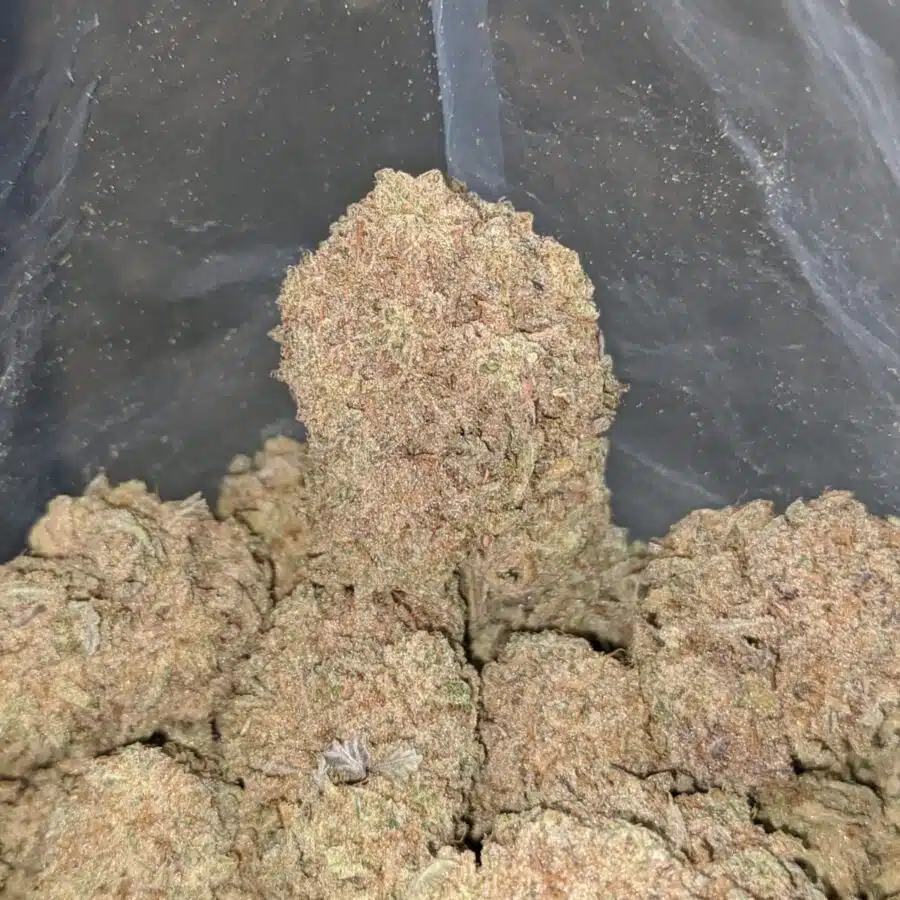 kushberry 2 I Kushberry