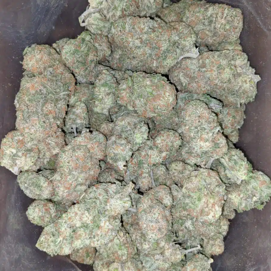mango cookies 1 I Mango Cookies