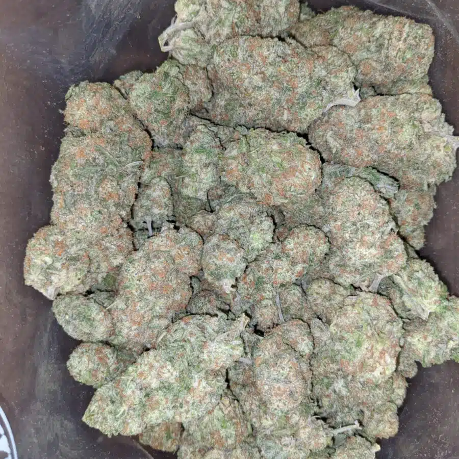 mango cookies 2 I Mango Cookies