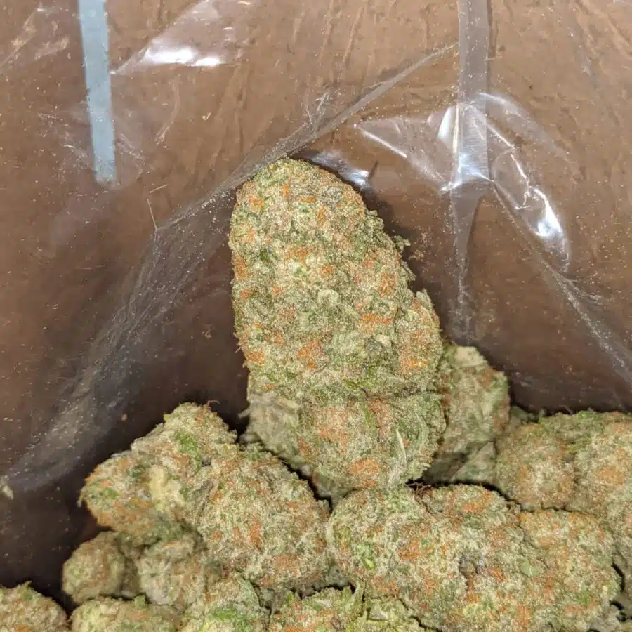 mango cookies 3 I Mango Cookies