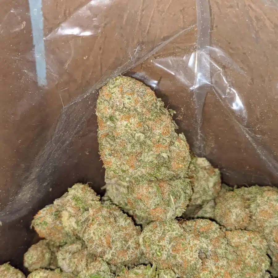 mango cookies 4 I Mango Cookies