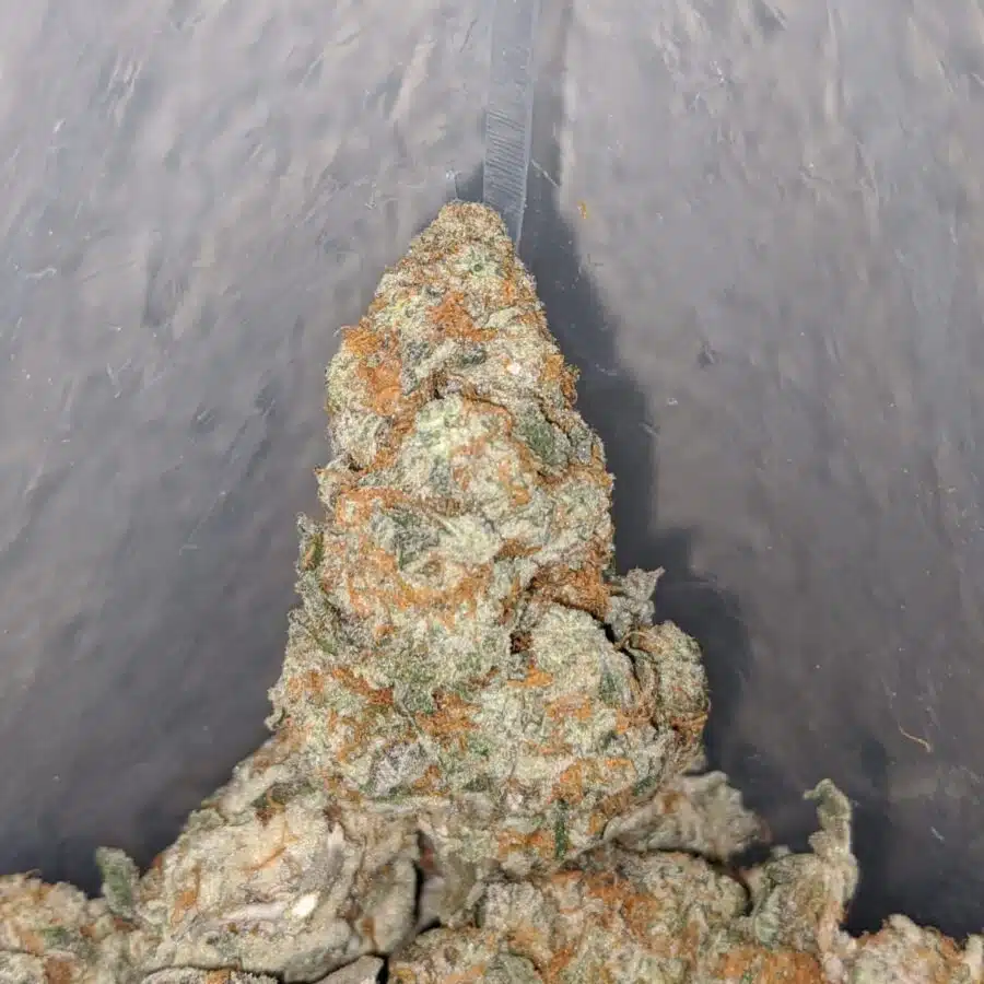 oreo cookies 3 I $ 71 Oz - Sunset Sherbert