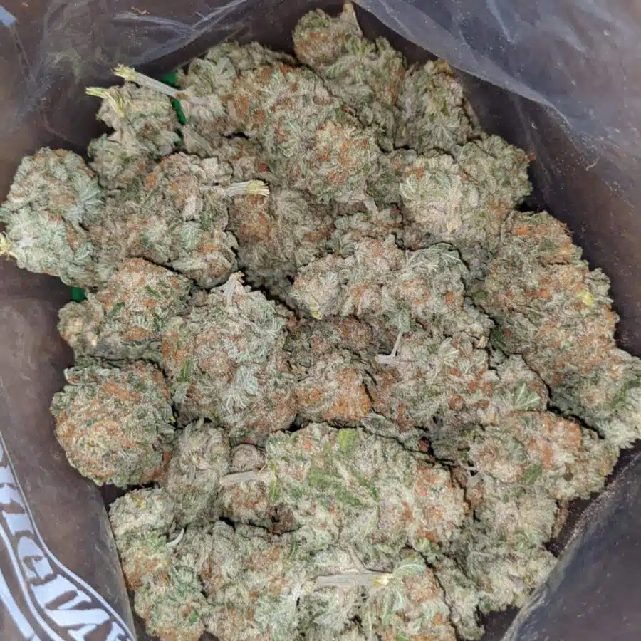 peaches cream 2 I $ 59 Oz - Peaches N Cream