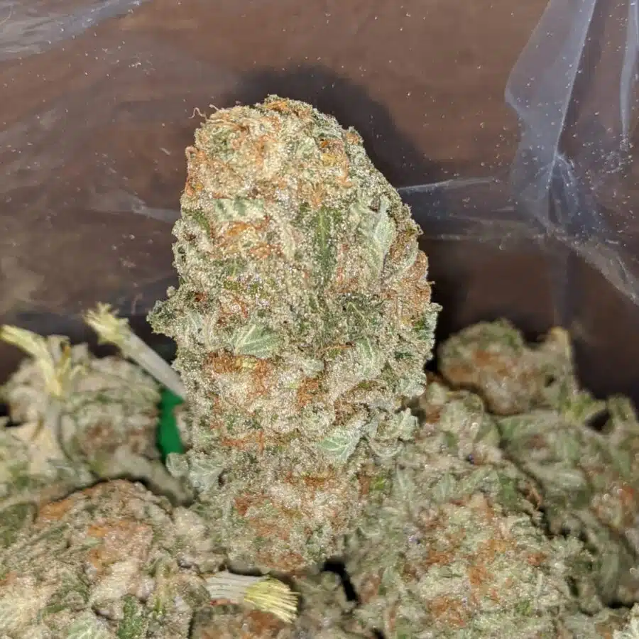 peaches cream 3 I $ 59 Oz - Peaches N Cream