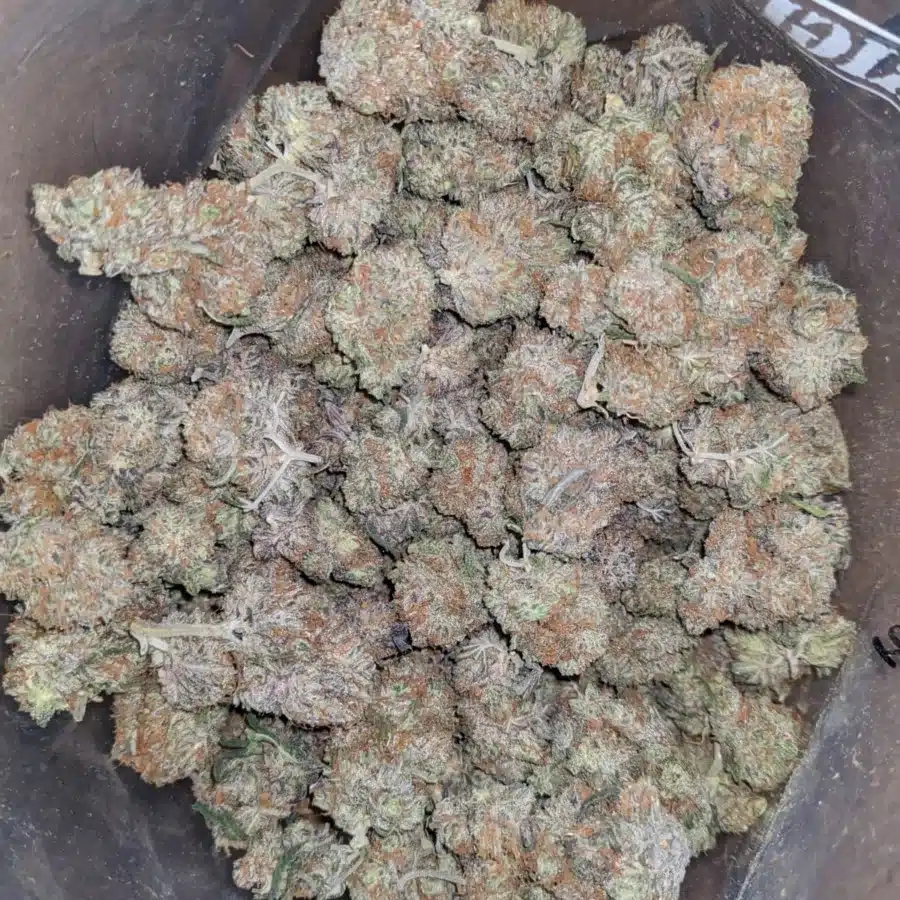 Platinum Berry