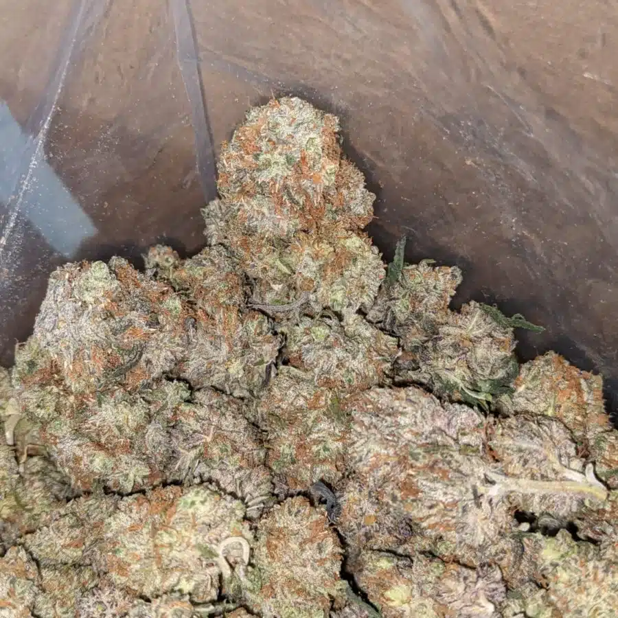 platinum berry 4 I Platinum Berry