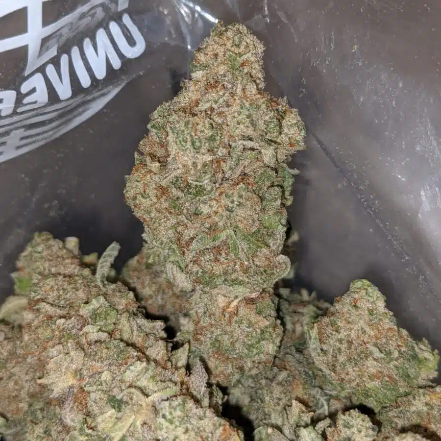 tonys miracle alien cookies 3 I Tony's Miracle Alien Cookies